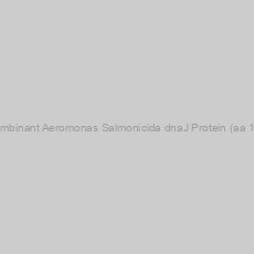 Image of Recombinant Aeromonas Salmonicida dnaJ Protein (aa 1-380)
